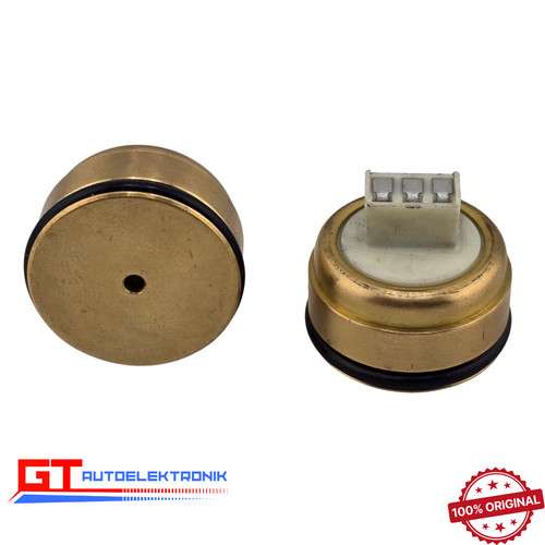 Drucksensor g193 g194 dsg - 2x,